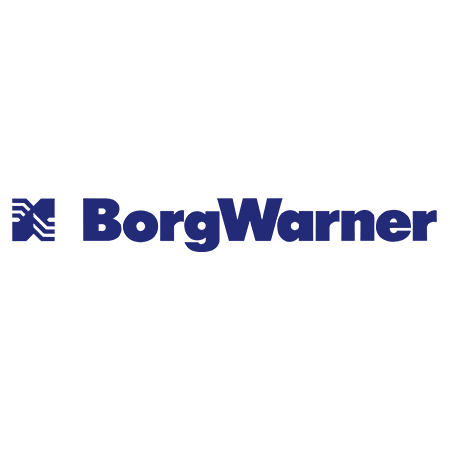 BORG_WARNER_LOGO_450-Copy